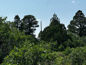 Photo 7 of 205  BEAVER CREEK OVERLOOK