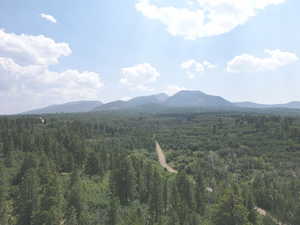 Photo 3 of 205  BEAVER CREEK OVERLOOK