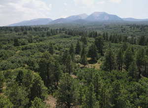 Photo 1 of 205  BEAVER CREEK OVERLOOK