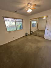 ceiling fan, carpet floors, a healthy amount of sunlight,