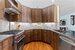 Kitchen featuring backsplash, sink, wall chimney exhaust hood, appliances with stainless steel finishes, and light hardwood / wood-style flooring
