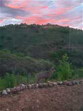 Deer w/sunrise view