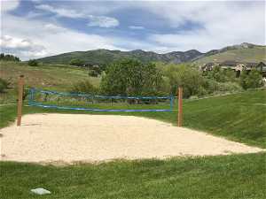 Community volleyball/picnic area