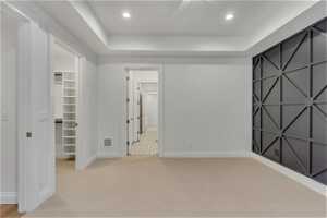 Spare room with light colored carpet and a raised ceiling