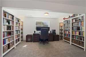 Office featuring light carpet