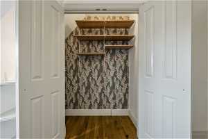 View of closet with trendy wallpaper