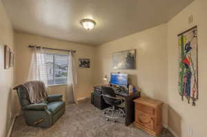 Office with dark colored carpet and a textured ceiling