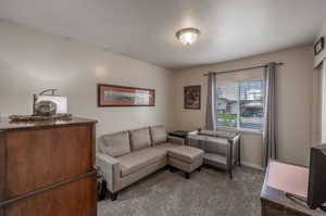 Living room with dark colored carpet