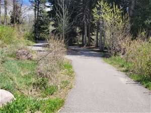 Path leading through Creekside Park