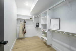 Spacious closet featuring light hardwood / wood-style flooring