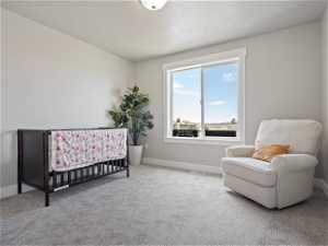 Carpeted bedroom featuring a nursery area