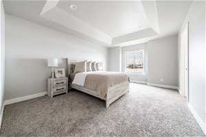 Bedroom featuring light colored carpet and a raised ceiling