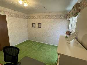 BEDROOM #1 CAN BE A BEDROOM OR AN OFFICE!!FABULOUS VIBRANT GREEN CARPET!!