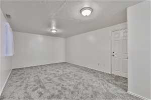 Extra large family room in basement