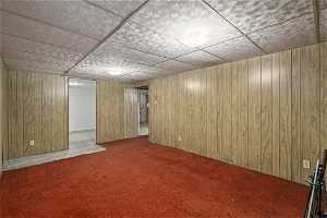 Basement featuring wooden walls and light colored carpet
