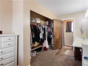 Spacious closet with sink and carpet