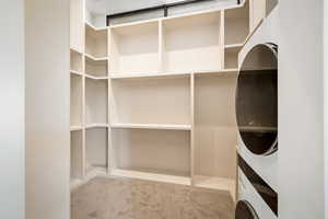 Spacious closet featuring carpet