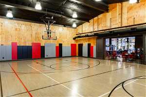 Shed Basketball Court