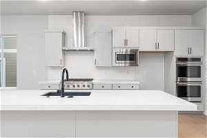 Kitchen with backsplash, light hardwood / wood-style flooring, stainless steel appliances, wall chimney range hood, and sink