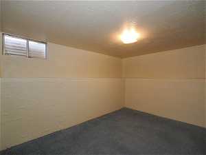 Basement with a textured ceiling and carpet