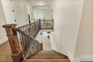 Stairs featuring carpet flooring