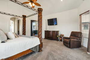 Bedroom featuring carpet, ceiling fan, and multiple windows