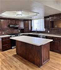 Kitchen featuring light hardwood / wood-style flooring, a raised ceiling, stainless steel appliances, and sink