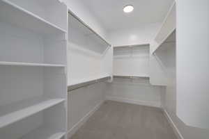 Spacious closet featuring carpet