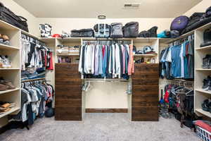 Spacious closet with carpet flooring