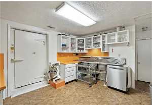 Lower kitchen with walk in freezer/fridge