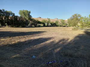 View of yard featuring a rural view