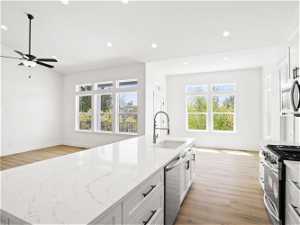 Kitchen featuring a healthy amount of sunlight, appliances with stainless steel finishes, and light hardwood / wood-style flooring