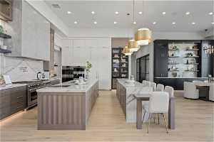 Kitchen with premium appliances, light hardwood / wood-style floors, and a kitchen island with sink