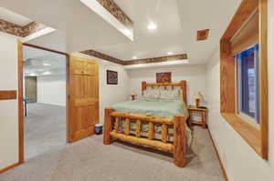 Carpeted bedroom featuring a raised ceiling