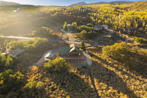 Bird's eye view featuring a mountain view