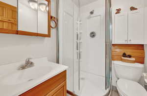 Bathroom featuring vanity, a shower with shower door, and toilet