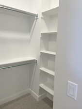 Spacious closet with light colored carpet