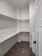 Master bed room walk in closet