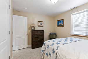 View of carpeted bedroom