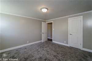 Empty room featuring carpet, crown molding, and a textured ceiling