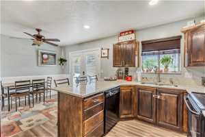 Kitchen featuring sink, light hardwood / wood-style flooring, dishwasher, and plenty of natural light