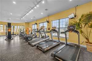 Exercise room featuring track lighting
