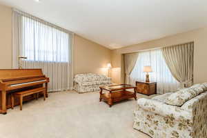 Carpeted living room featuring vaulted ceiling