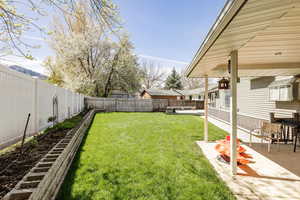 View of yard featuring a patio