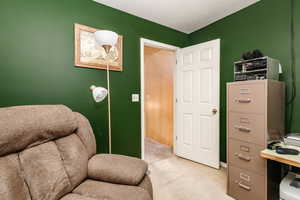 Sitting room with light carpet and a textured ceiling