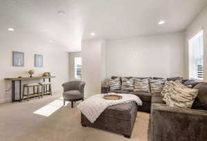 Living room with light colored carpet and a healthy amount of sunlight