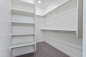 Spacious closet with dark carpet