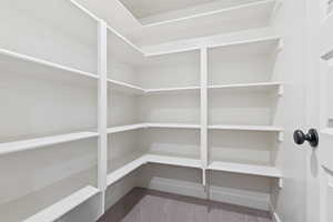 Basement closet