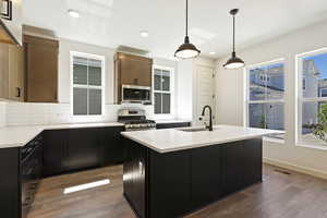 Kitchen with tasteful backsplash, an island with sink, wood-type flooring, sink, and appliances with stainless steel finishes