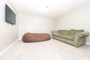 View of carpeted theater/living room